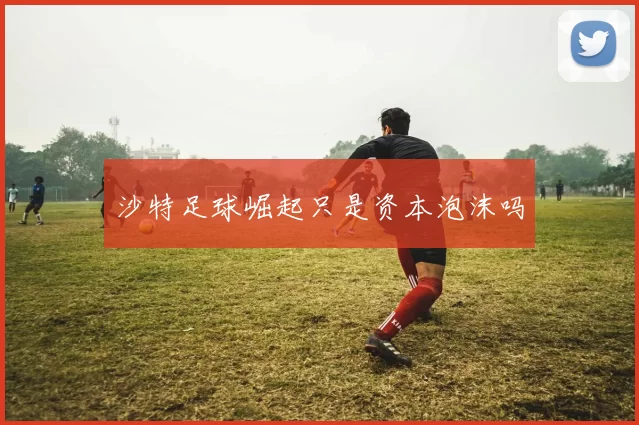 沙特足球崛起只是资本泡沫吗