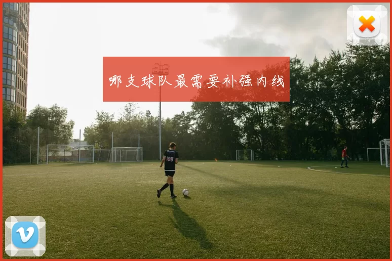 哪支球队最需要补强内线