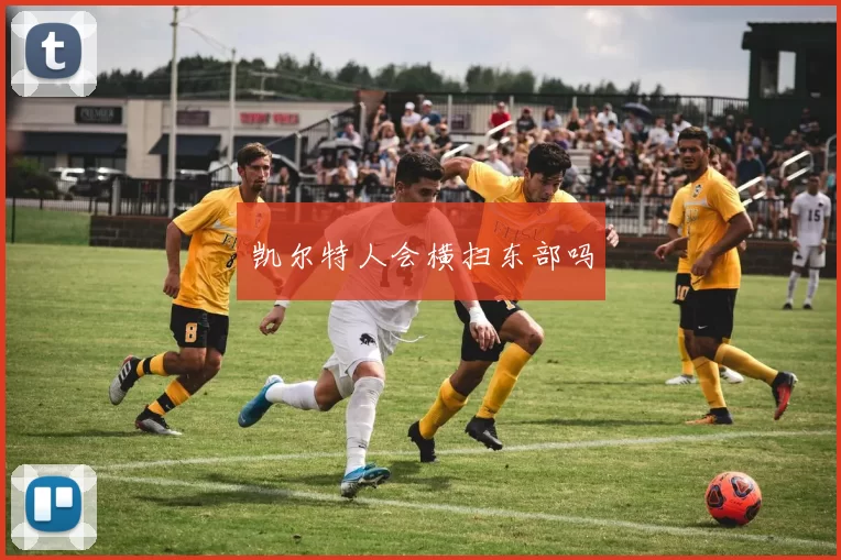 凯尔特人会横扫东部吗
