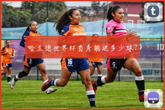 哈兰德世界杯首秀能进多少球？