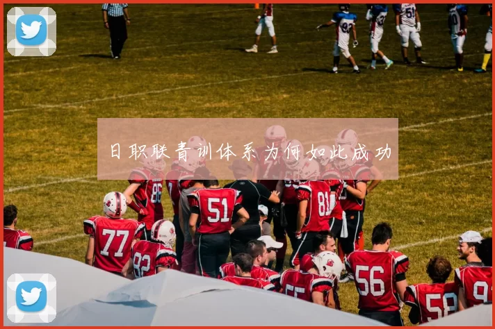 日职联青训体系为何如此成功